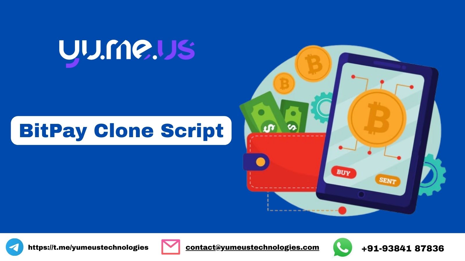 Want to accept crypto payments with a BitPay clone?